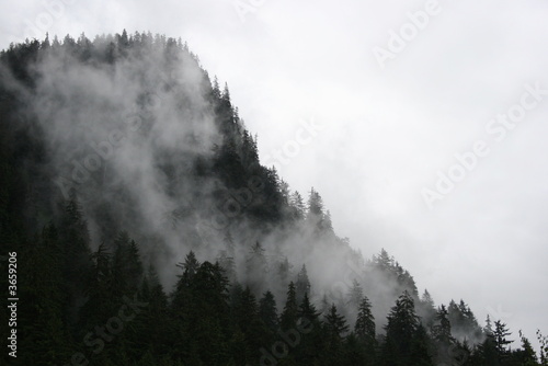 Dark forested hill with misty clouds