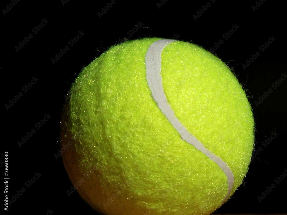 the tennis ball