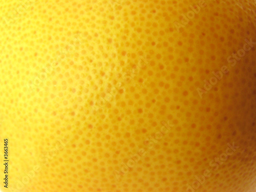 Wallpaper Mural Skin of a grapefruit. A close up. Isolated on a white. Torontodigital.ca