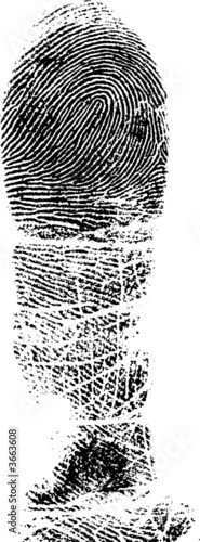 Full Fingerprint 3