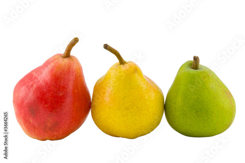 the three full pears isolated with clipping path