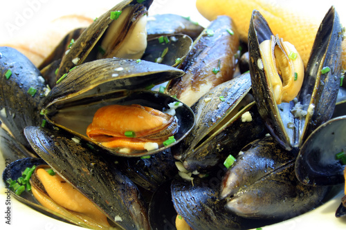 Steamed Mussels photo