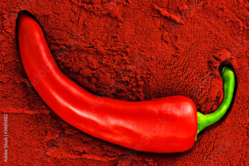 Tandoori, red chili pepper #3665682