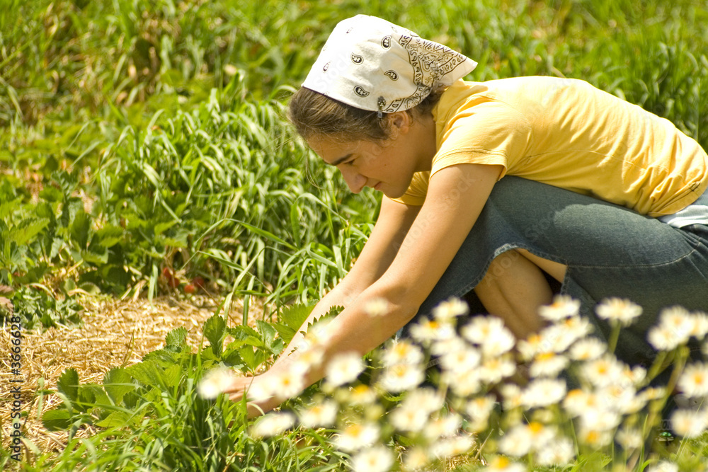 Φωτογραφία A woman picking strawberries in the field