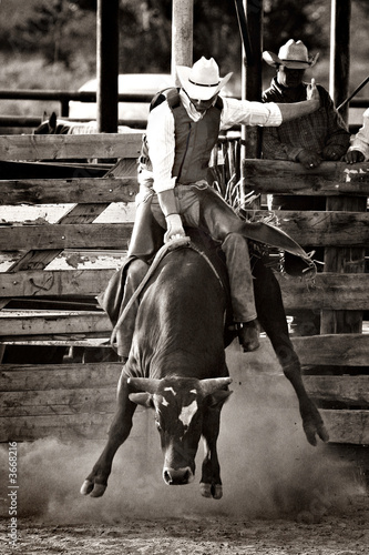rodeo cowboy bull riding - converted with added grain