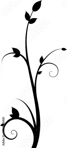 Floral design
