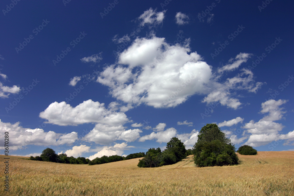 summer countryside in czech republic