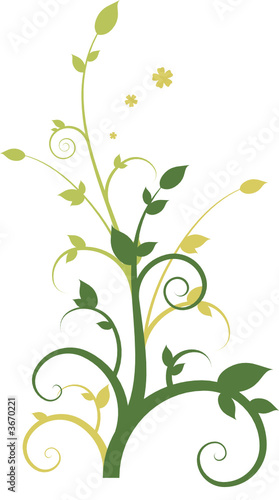 Floral design composition