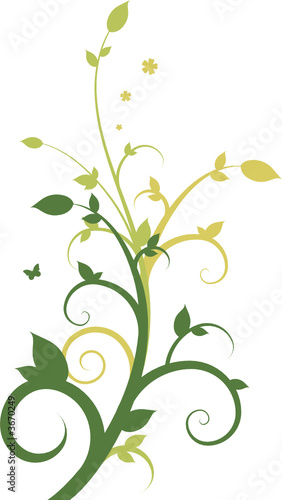 Floral design composition