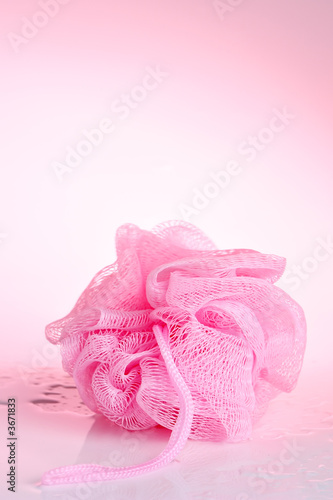 Wet pink sponge on pink background
