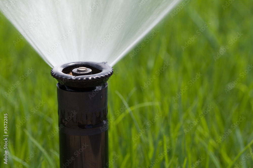 Detail of a working lawn sprinkler head watering the grass - obrazy, fototapety, plakaty 