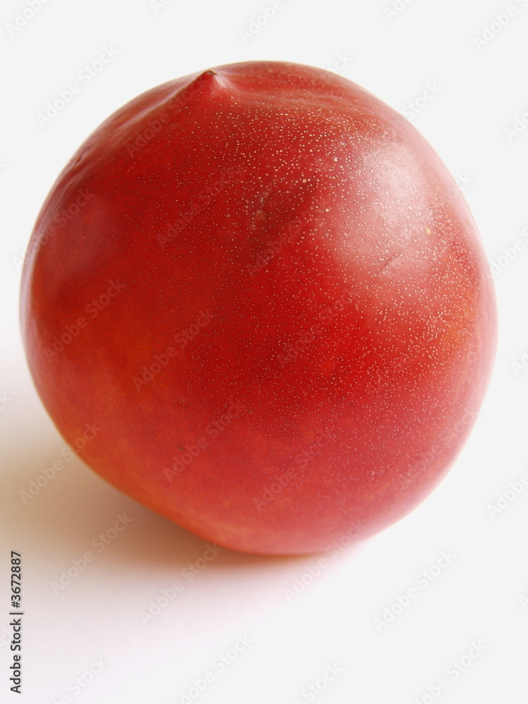 nectarine tout seul nectarine tout seul