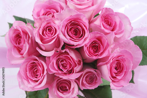 One dozen pink roses in a pink wrap
