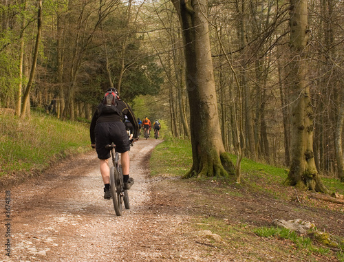 Mountain bikers on forestry dirt track