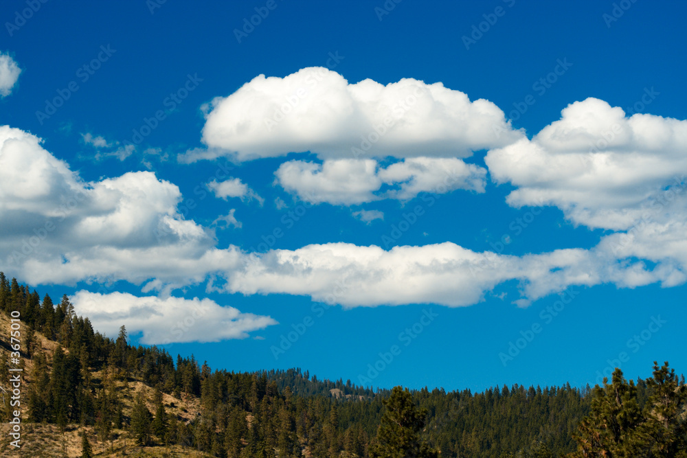 A beautiful view of alpine meadow with white clouds and blue sky A beautiful view of alpine meadow with white clouds and blue sky