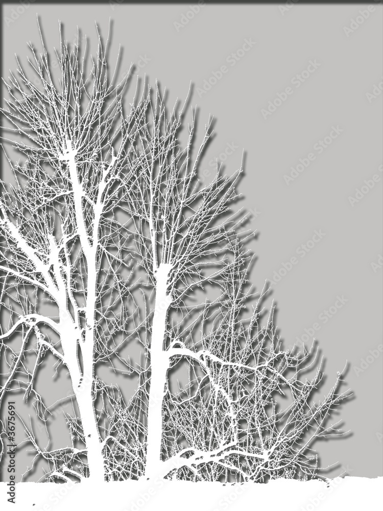 baum baum