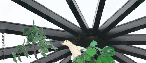 Canvastavla White Bird in Aerie