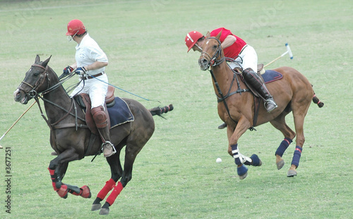 Two Polo Players & Horses
