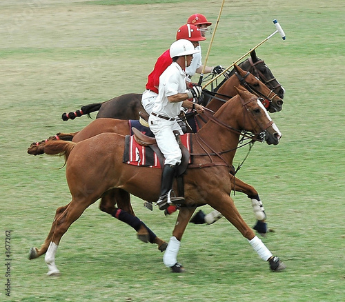 Three Polo Players © Clarence Alford