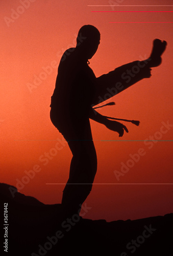 Capoeira 4