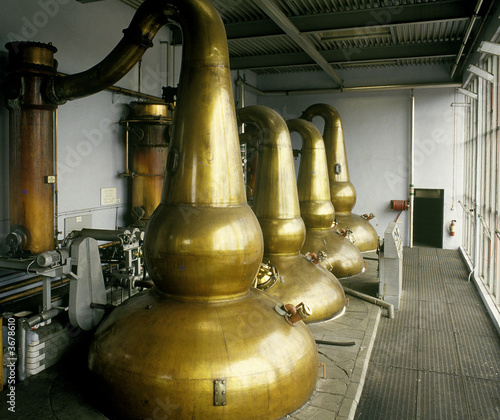 Distillery 1