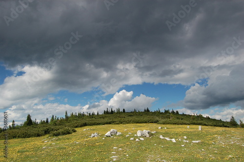 meadow under dark sky
