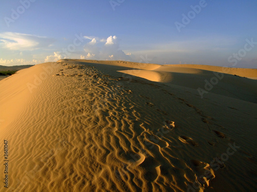 Dunes de sable  Vietnam