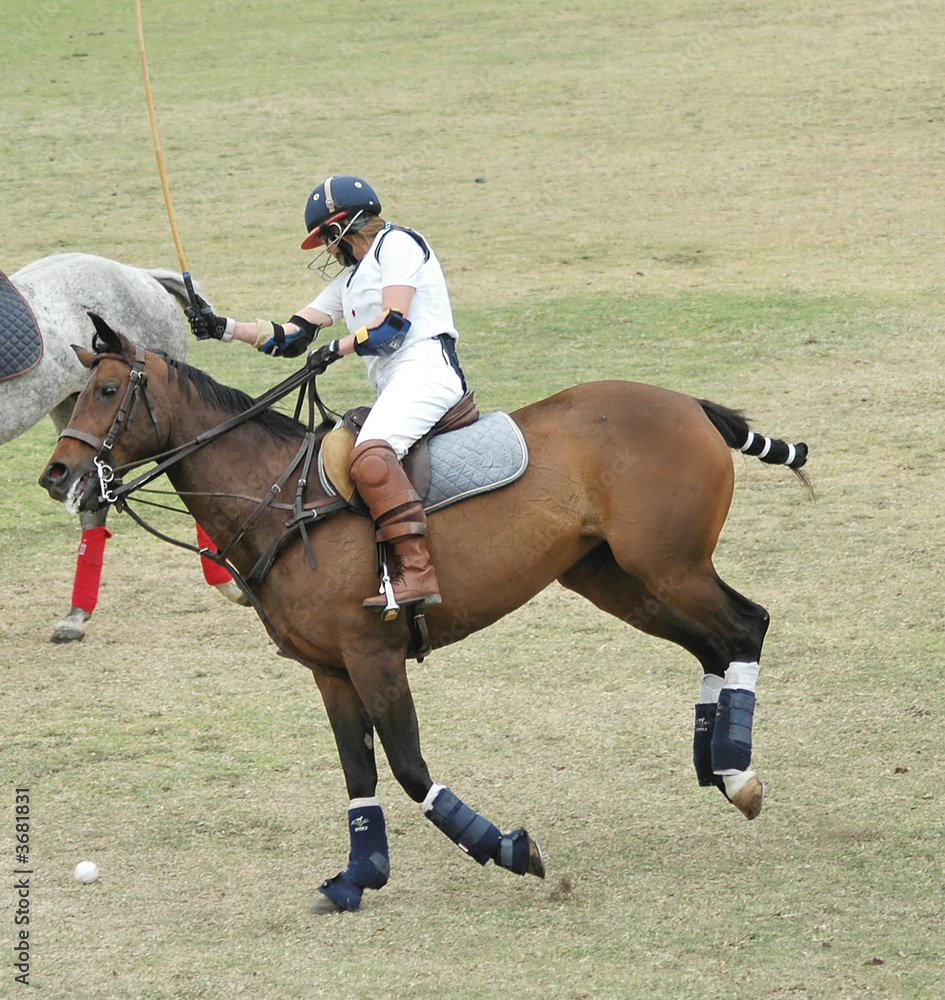 Polo Player Charging Polo Player Charging