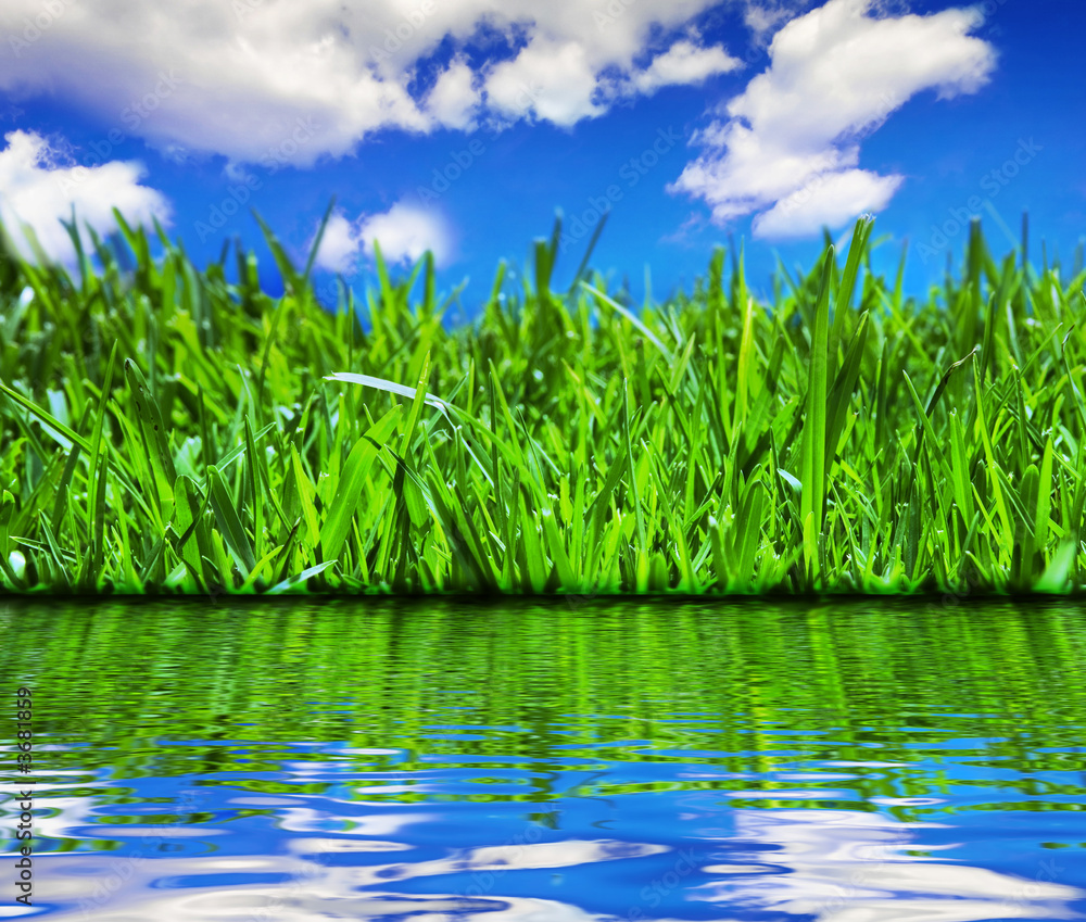 Fototapeta premium Summer reflections