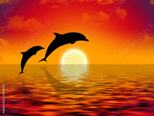 illustration of two dolphins swimming in sunset © marinini
