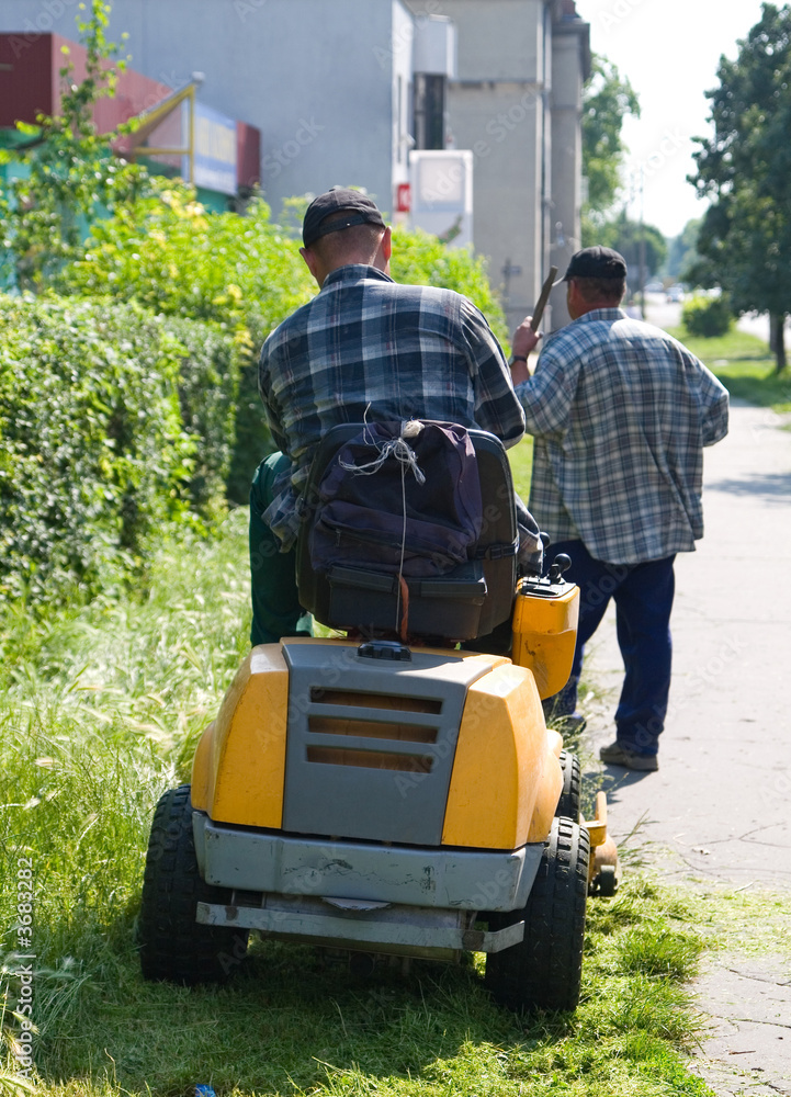 Fototapeta premium two men are cutting grass