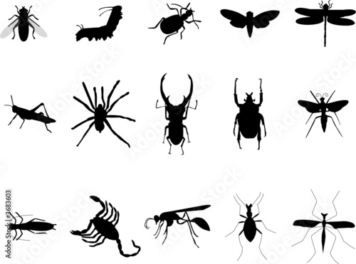 various insects silhouettes