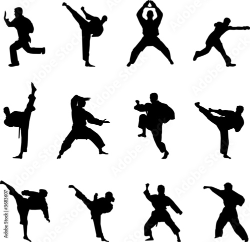 martial arts silhouettes #3683607