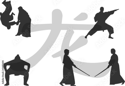 martial arts illustration