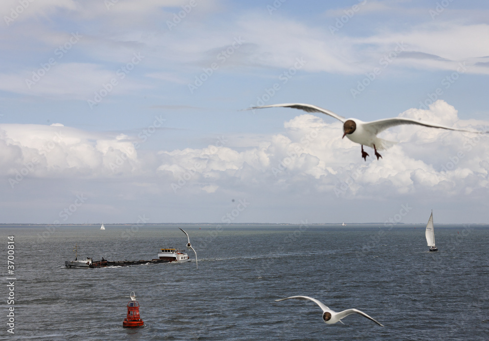 Fototapeta premium Traffic on the waddenzee