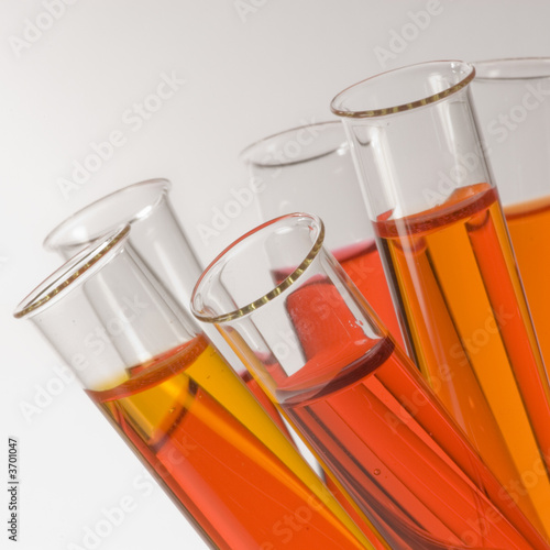 close-up of test tubes with orange liquids