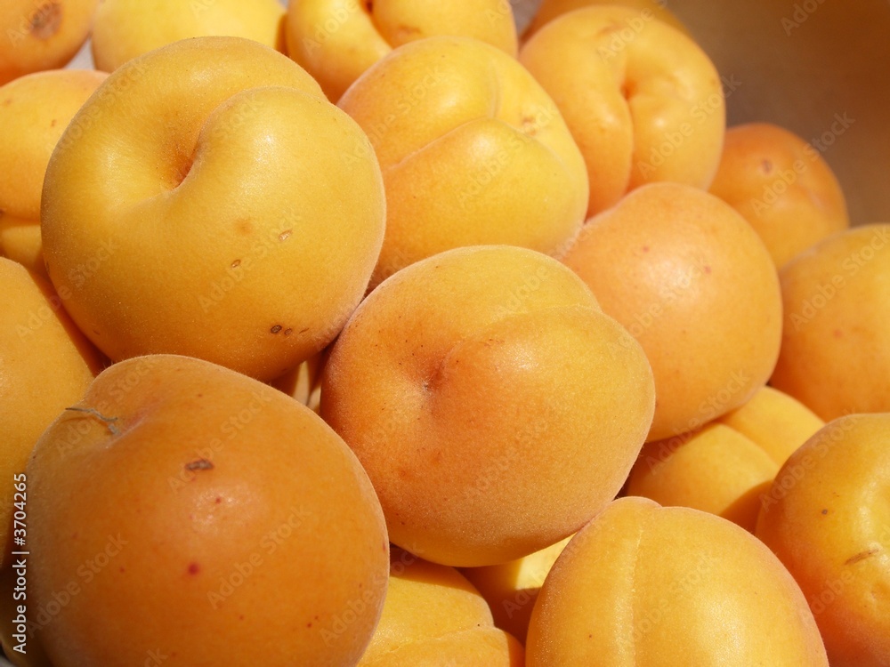 abricots abricots