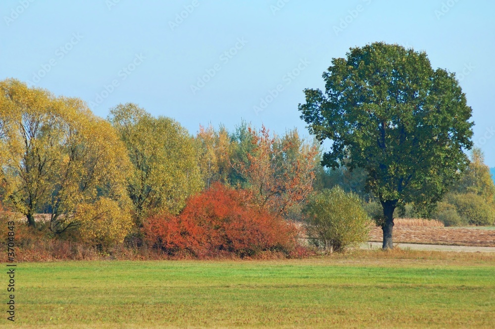 Colors of Fall Colors of Fall
