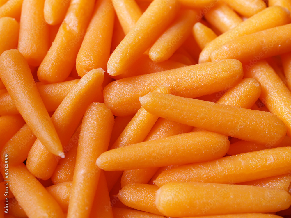 fresh baby carrots fresh baby carrots