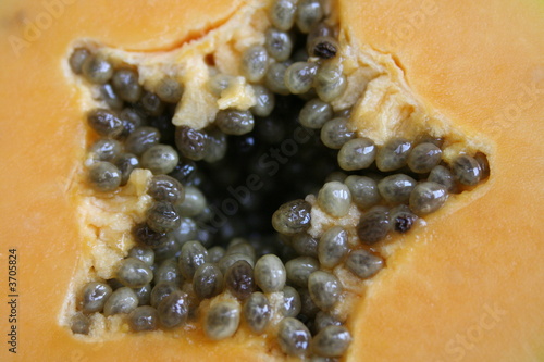 the heart of Papaya