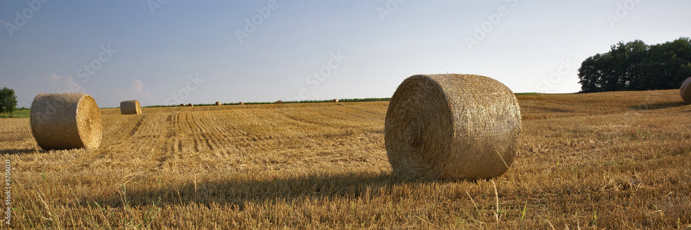 rouleaux de paille