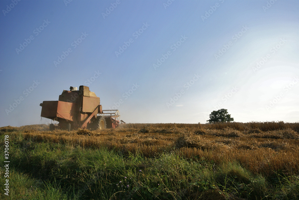 Naklejka premium la moisson