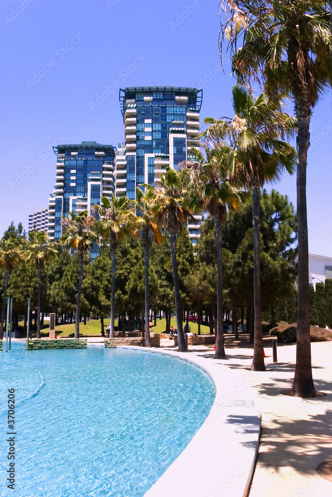 Beautiful high rise buildings with rows of palm trees and pool