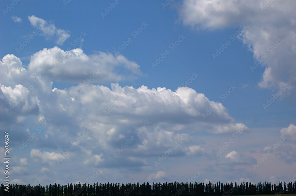 An image of clouds over the trees