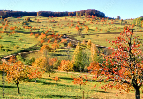 Landschaftsschutzgebiet Rhön photo