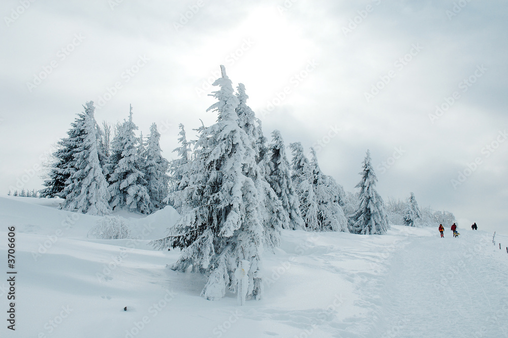 Fototapeta premium Winterlandschaft 2