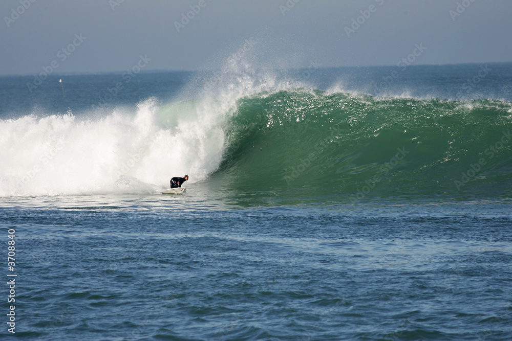 surf surf