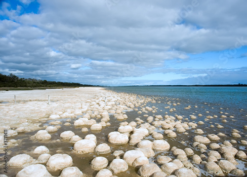 reef of living rocks 