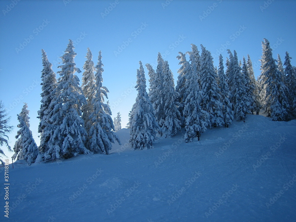 Naklejka premium Wintertraum