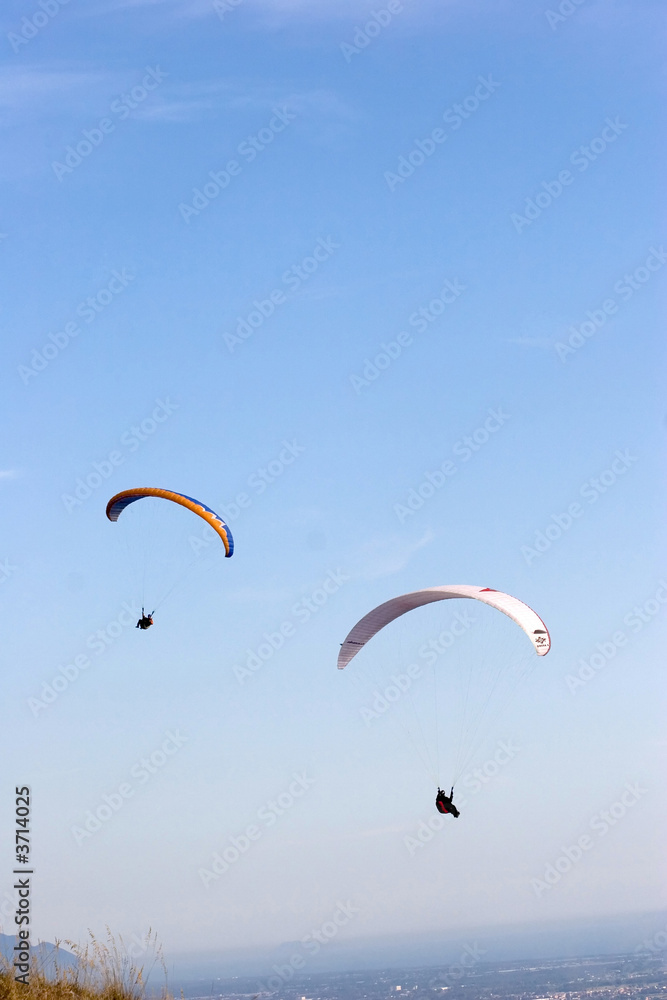 paragliders in the sky